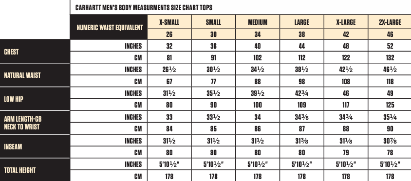 Carhartt Hooded sweatshirt with zipper K122 HGY