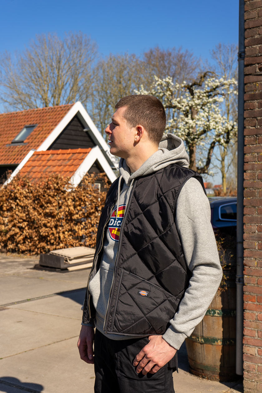 Dickies Icon Logo Hoodie - Licht Grijs